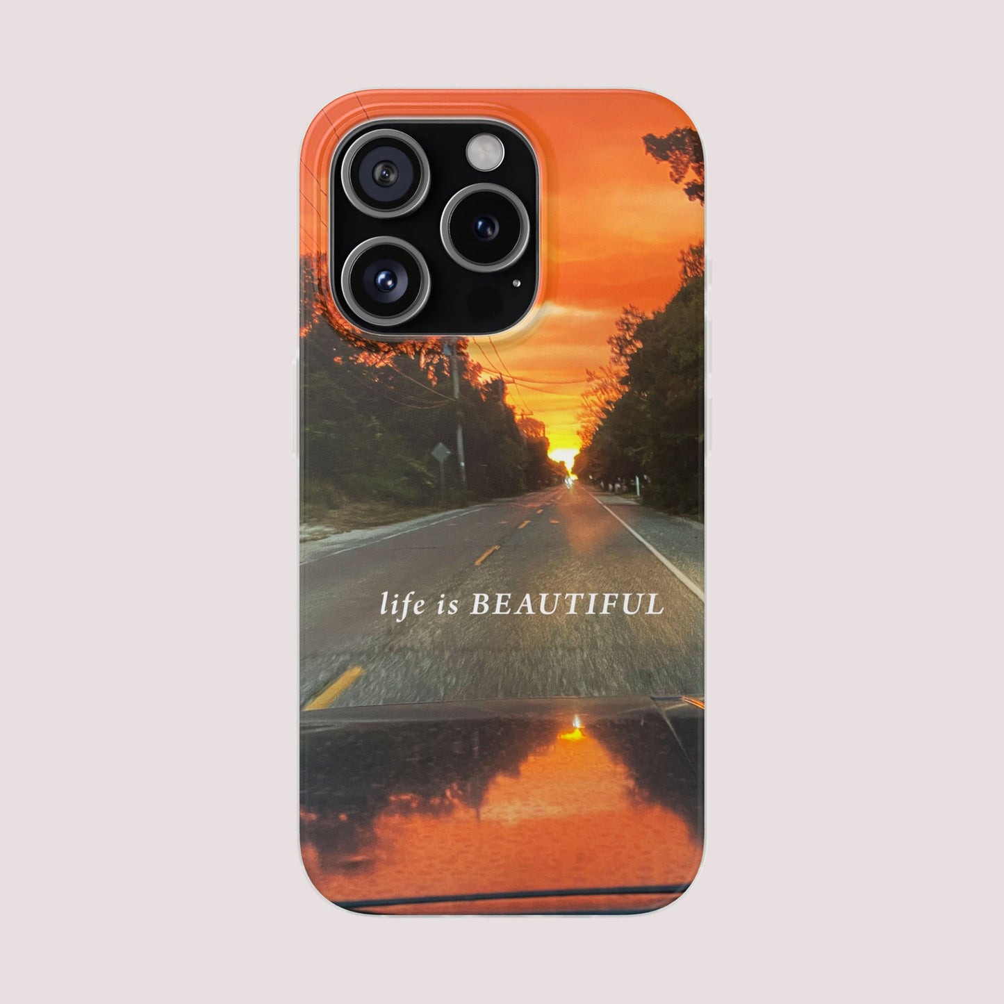 life is BEAUTIFUL